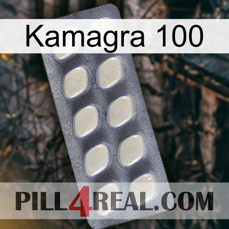 Kamagra 100 08